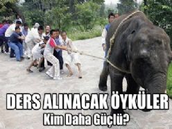 Hayata dair öyküler "Kim daha güçlü?"