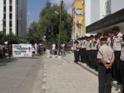 Maymun soyundan olduklarında ısrarcılar