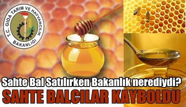 Vatandaşı bal gibi kandırıp gittiler