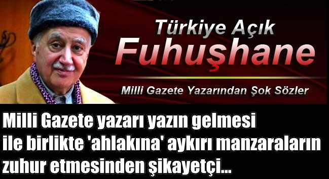 Sultanahmet'te kadınların memeleri görünüyor