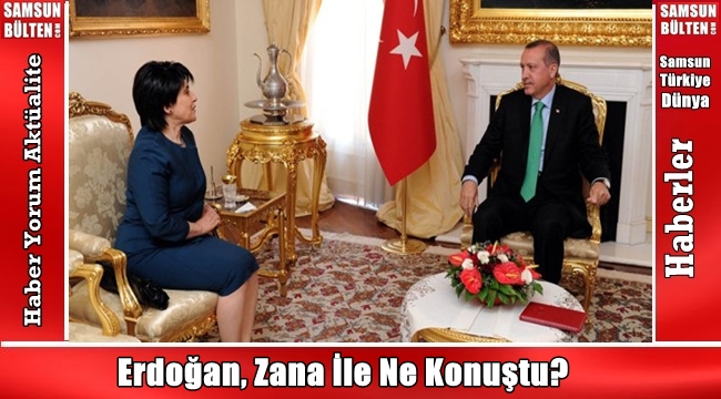 Erdoğan, Zana İle Ne Konuştu?