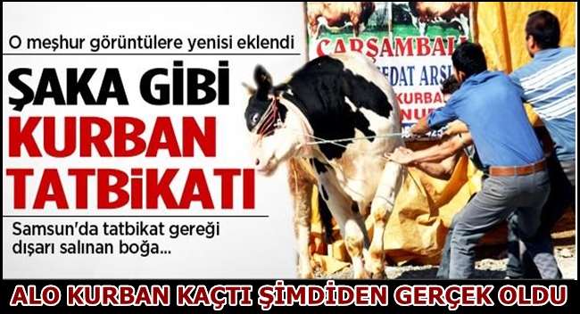 ALO KURBAN KAÇTI ŞİMDİDEN GERÇEK OLDU