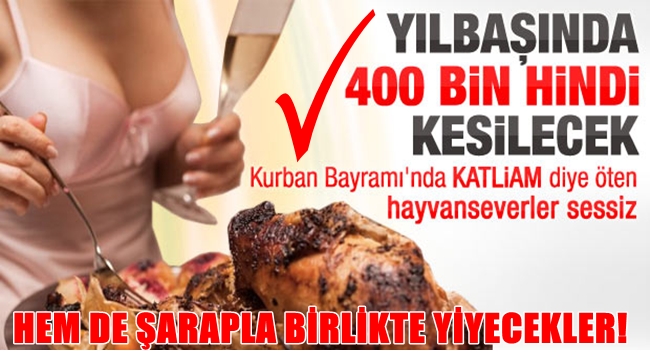 Yılbaşında 400 bin hindi kesilecek