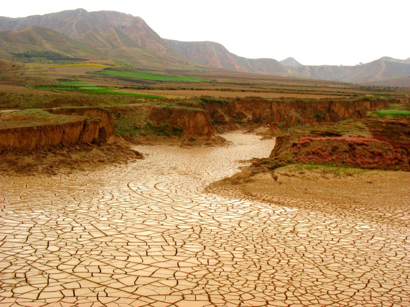 <font color="red">Samsun için kuraklık uyarısı</font>