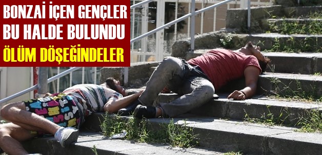 BONZAİ ONLARI BÖYLE YIKTI