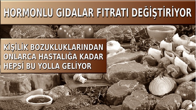 HORMONLU GIDALAR İNSAN FITRATINI DEĞİŞTİRİYOR
