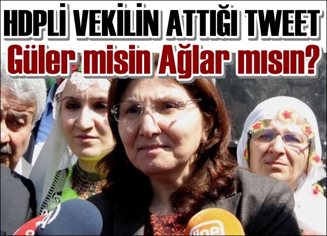 HDP'li Vekil Şemsiyeyi Silah Zannetti, Sosyal Medya Sallandı
