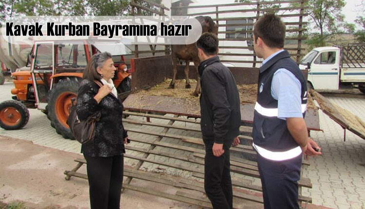 Kavak'ta Kurban Bayram hazırlıkları tamamlandı