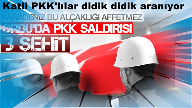PKK'lılar Ordu/Mesudiye ilçesinde üç askerimizi şehit etti