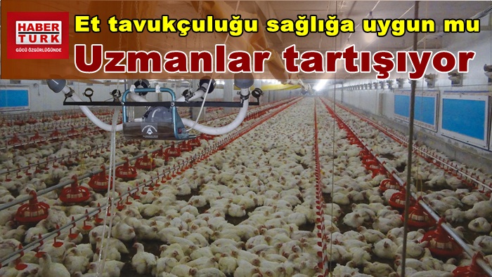 Sağlıklı diye yediğimiz tavuklar kanser mi yapıyor?