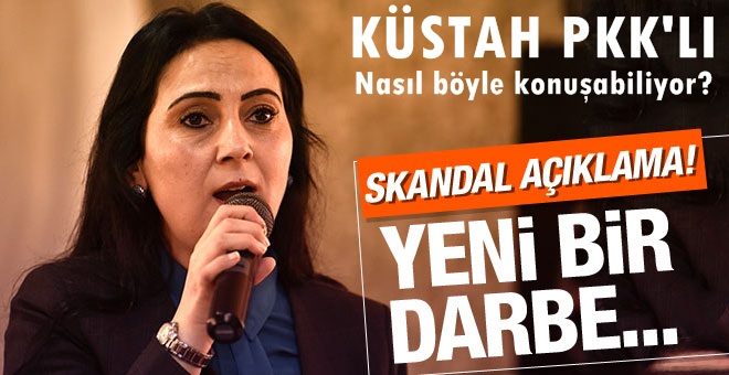 PKK'lıların Meclisteki temsilcisinden skandal sözler