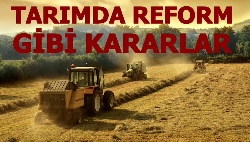 Araziyi sahibi ekmezse devlet kiralayıp ekecek