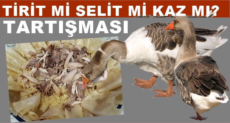 Şu tartışmaya bakın siz! Tirit mi Serit mi Kaz mı?