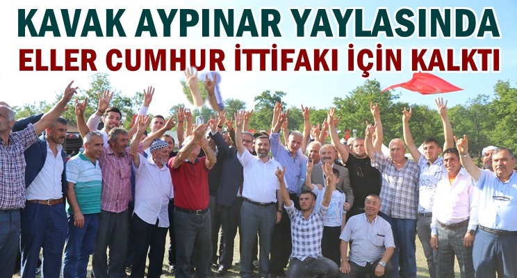 KAVAK AYPINAR YAYLASINA DAMGA VURAN GÖRÜNTÜ