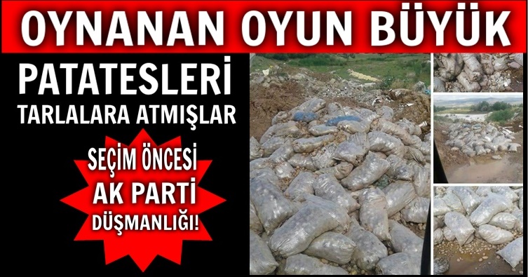 PATATES VE SOĞANDA SİNSİ OYUN ORTAYA ÇIKTI
