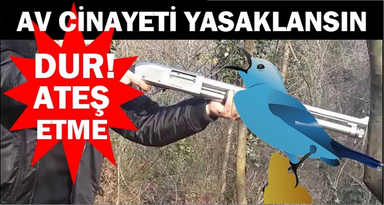 AVCILIK CİNAYETİNE SON VERİLSİN