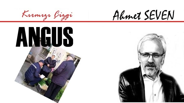 BU RESİM SIRBİSTANA AİT ANCAK BİZDEKİ ANGUSLAR