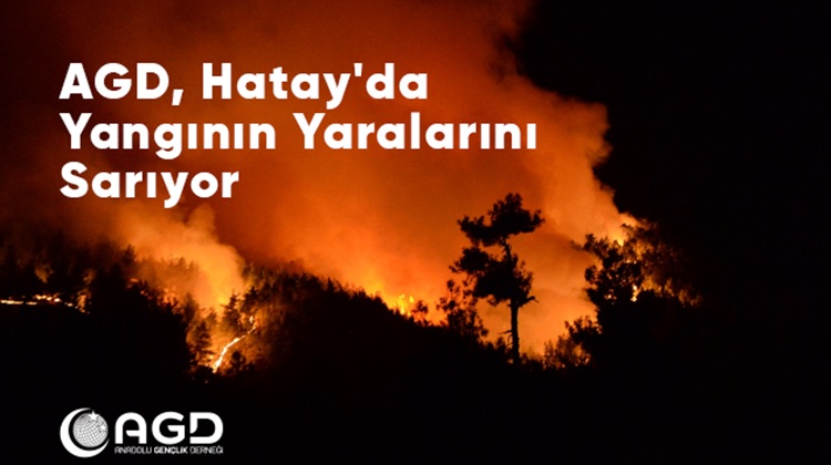 AGD, HATAYDA YANGININ YARALARINI SARACAK
