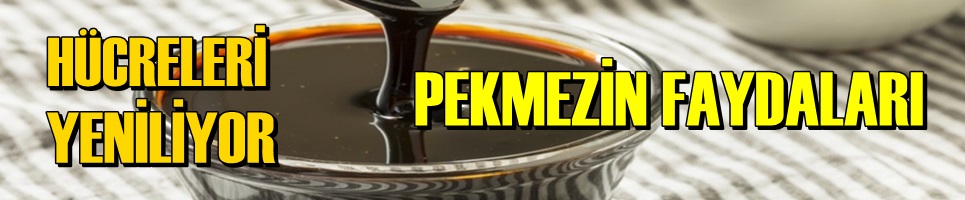 PEKMEZ HÜCRELERİ YENİLİYOR