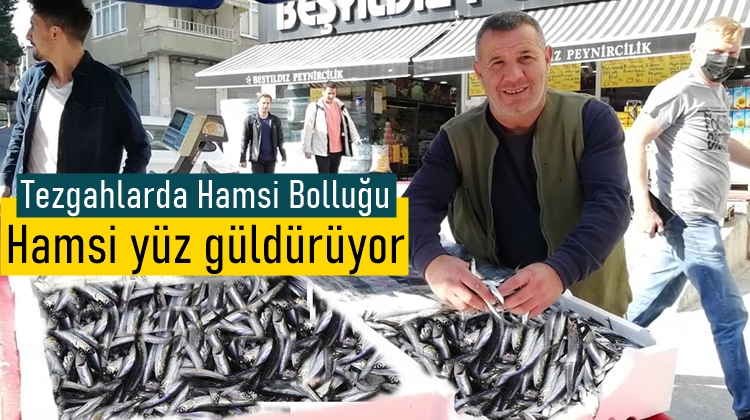 Hamsi bolluğu Samsunlu vatandaşların yüzünü güldürdü