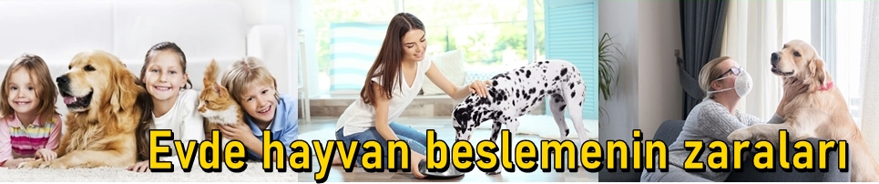 Evde Evcil Hayvan Beslemenin Zararları