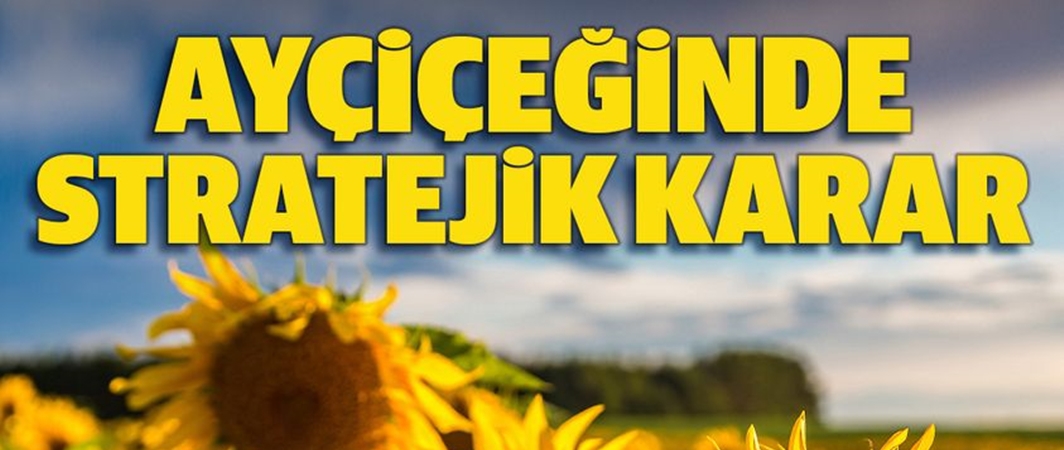 Ayçiçek ekicileri desteklenecek