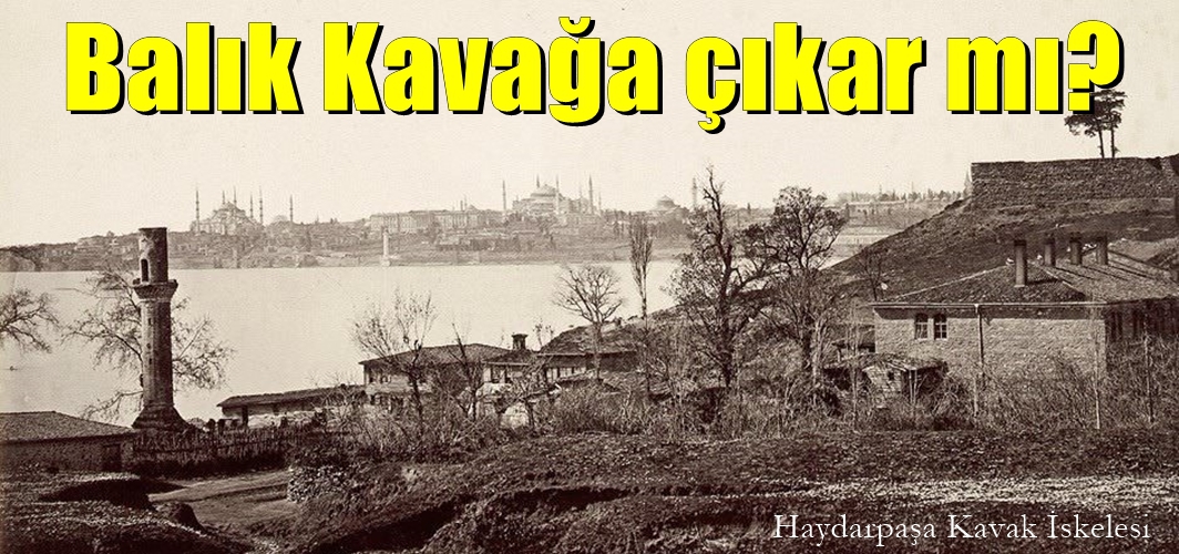 Balık kavağa çıkınca ne anlama gelir?