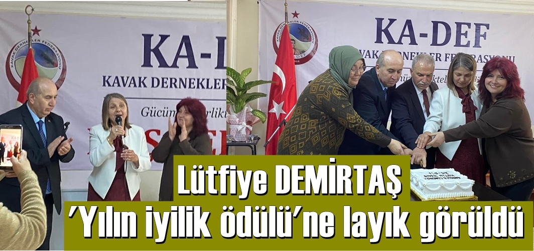 ‘Yılın İyilik Ödülü’ne Lütfiye Demirtaş layık görüldü