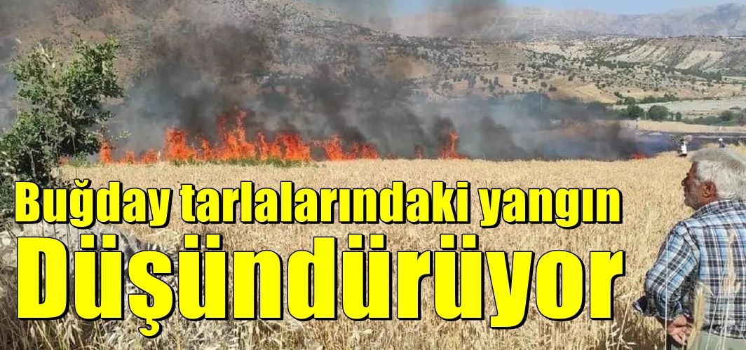 Buğday tarlalarında yaşanan yangınlar düşündürüyor?