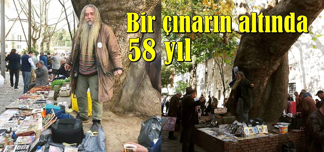 Bir çınarın altında 58 yıl