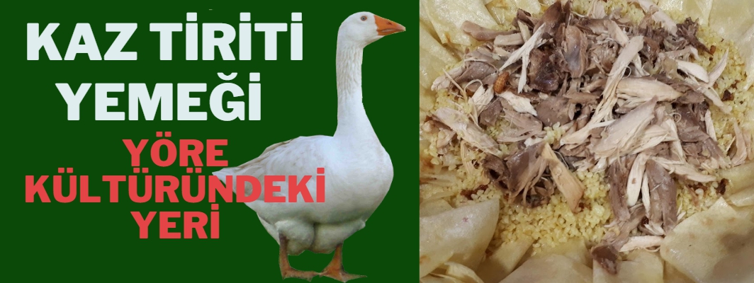Kaz Tiriti Yemeğinin Samsunun kültür hayatına katkıları
