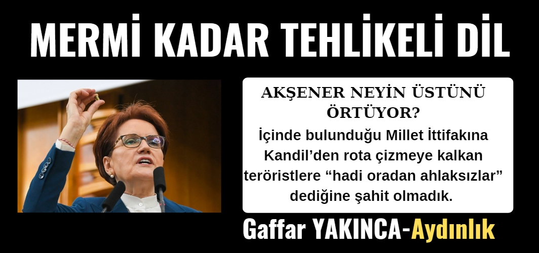 Akşener neyin üzerini örtmeye çalışıyor?
