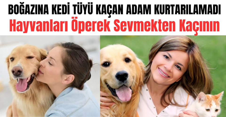 Uzmanlardan Hayvanseverlere Uyarı: 'Temas ve Hijyene Dikkat Edin'