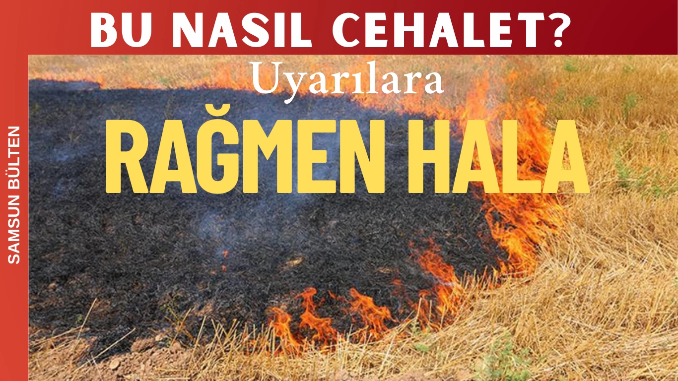 Toprak ve Ekolojik Denge Yok Oluyor
