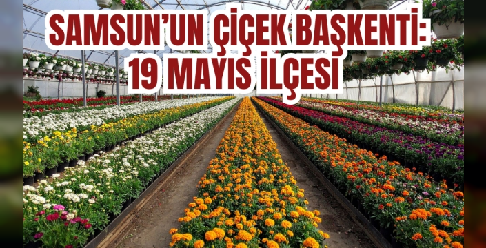 Samsun'un Çiçekçilik Başkenti: 19 Mayıs İlçesi