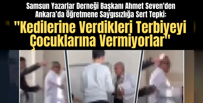 Anne Babalar Kedilerine Verdikleri Terbiyeyi Çocuklarına Vermiyorlar
