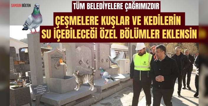Belediyelere Çağrımızdır: 'Çeşmeler Hayvanlar İçin Eksik Kalmasın!'