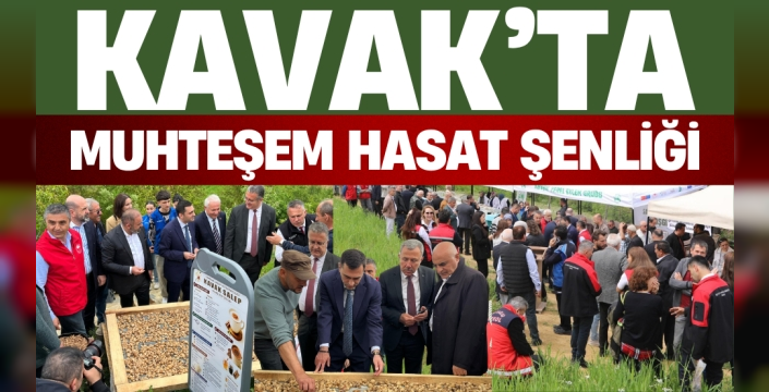 Kavak'ta salep hasat şenliğine büyük ilgi