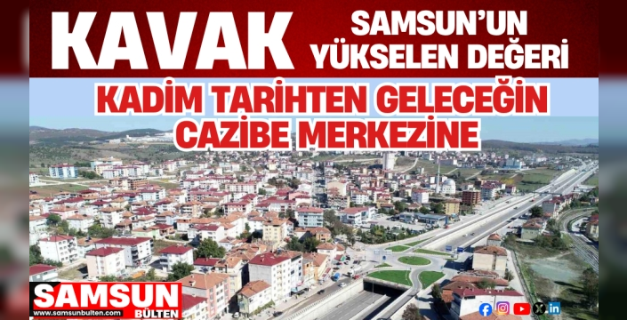 Samsun'un yükselen değeri: Kavak