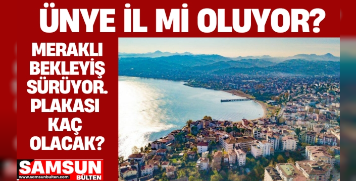 Ünye İl mi Oluyor? Plakası kaç olacak?