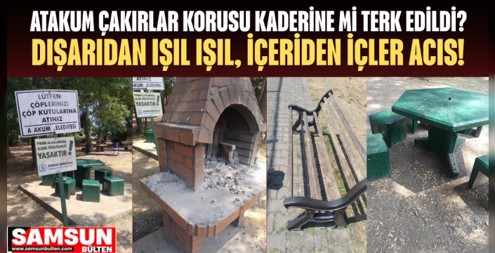 Atakum Çakırlar Korusu Kaderine mi Terk Edildi? Dışarıdan Işıl Işıl, İçeriden İçler Acısı!