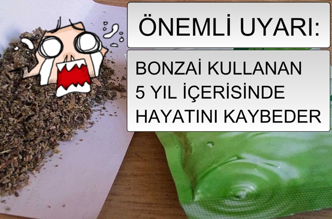 BONZAİ KULLANANLARIN 5 YILLIK ÖMRÜ KALDI