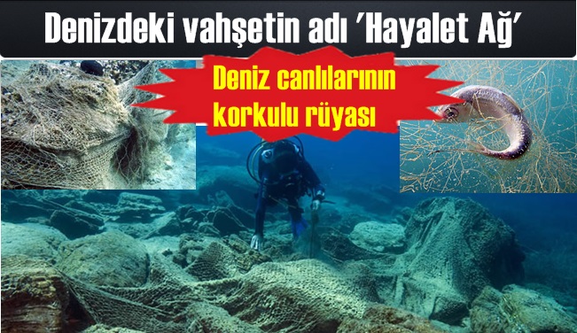 'Hayalet ağ' deniz canlılarının korkulu rüyası