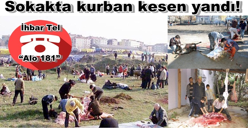 Sokakta kurban kesen yandı!