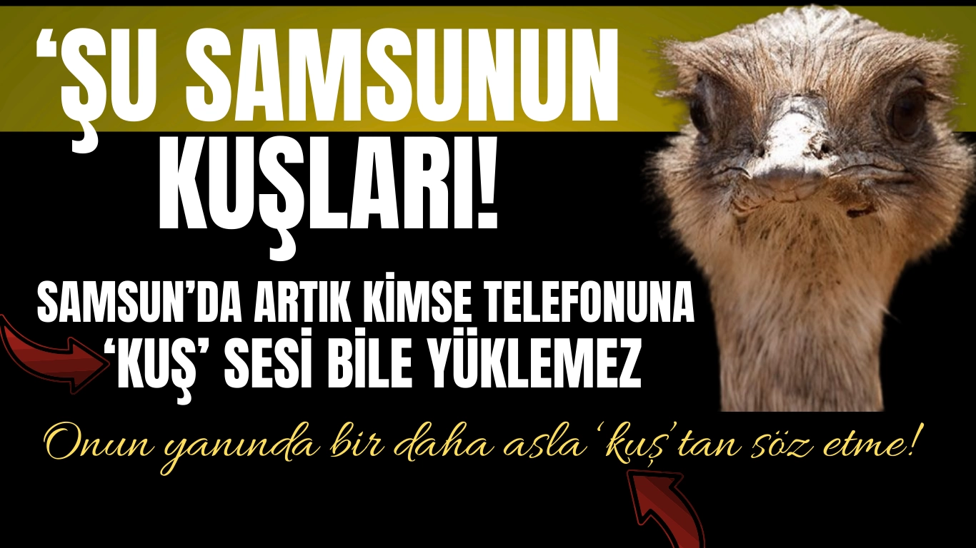 Şu Samsunun Kuşları!
